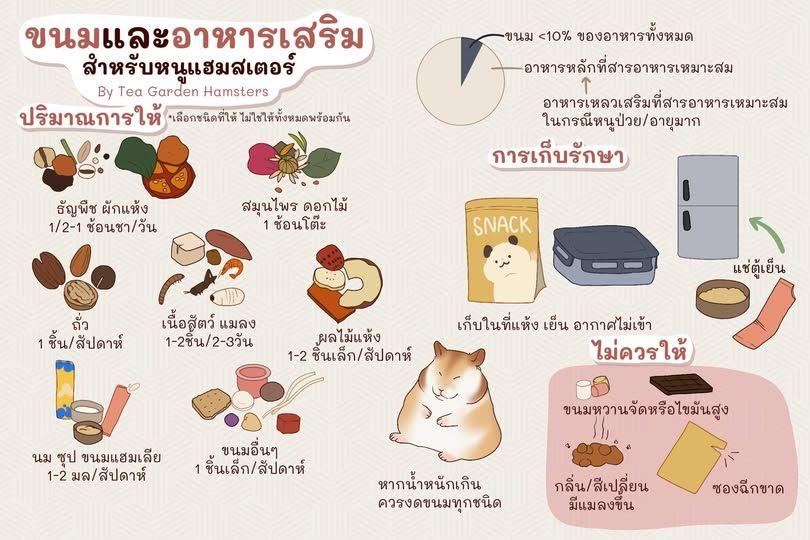 หนูแฮมสเตอร์กินอะไรได้บ้างกันนะ???