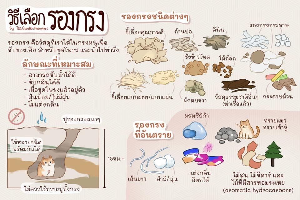 รองกรงแฮมสเตอร์ใช้แบบไหนดี แต่ละแบบต่างกันยังไงนะ