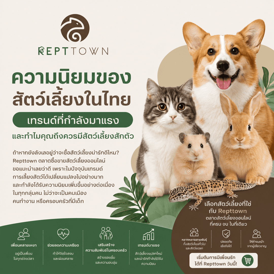ความนิยมของสัตว์เลี้ยงในไทย 2025 | ซื้อขายสัตว์เลี้ยงออนไลน์ที่ Repttown