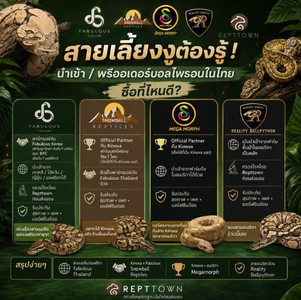 นำเข้างูบอลไพธอน พรีออเดอร์บอลไพธอน ไทย 2568 | ฟาร์มดัง ราคาดี มีการันตี