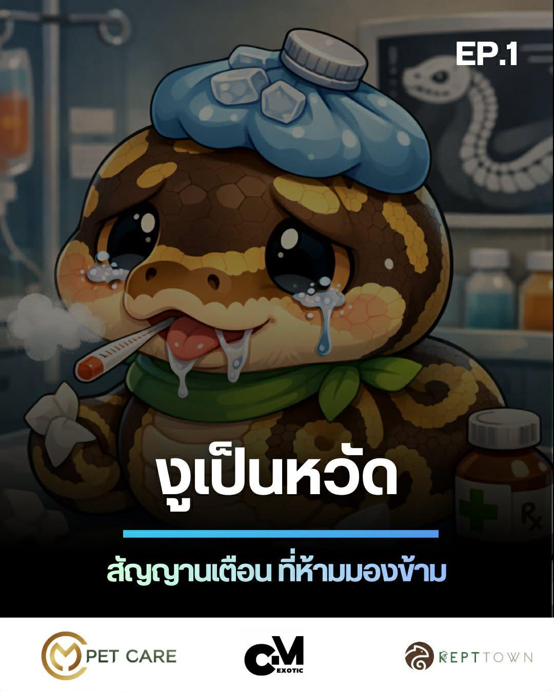 “หวัดงู” = กลุ่มอาการ (syndrome) ไม่ใช่ชื่อโรค เตรียมตัวอย่างไรเมื่องูป่วย???