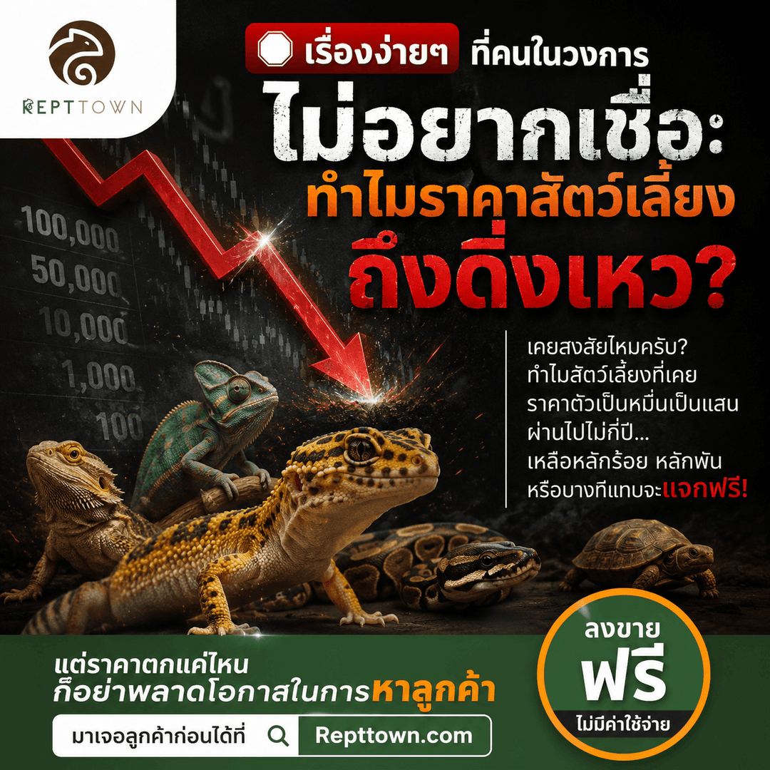 ทำไมราคาสัตว์เลี้ยงถึงตก? เจาะลึกกลไกตลาดที่คนอยากเพาะสัตว์ขายไม่อยากเชื่อ!