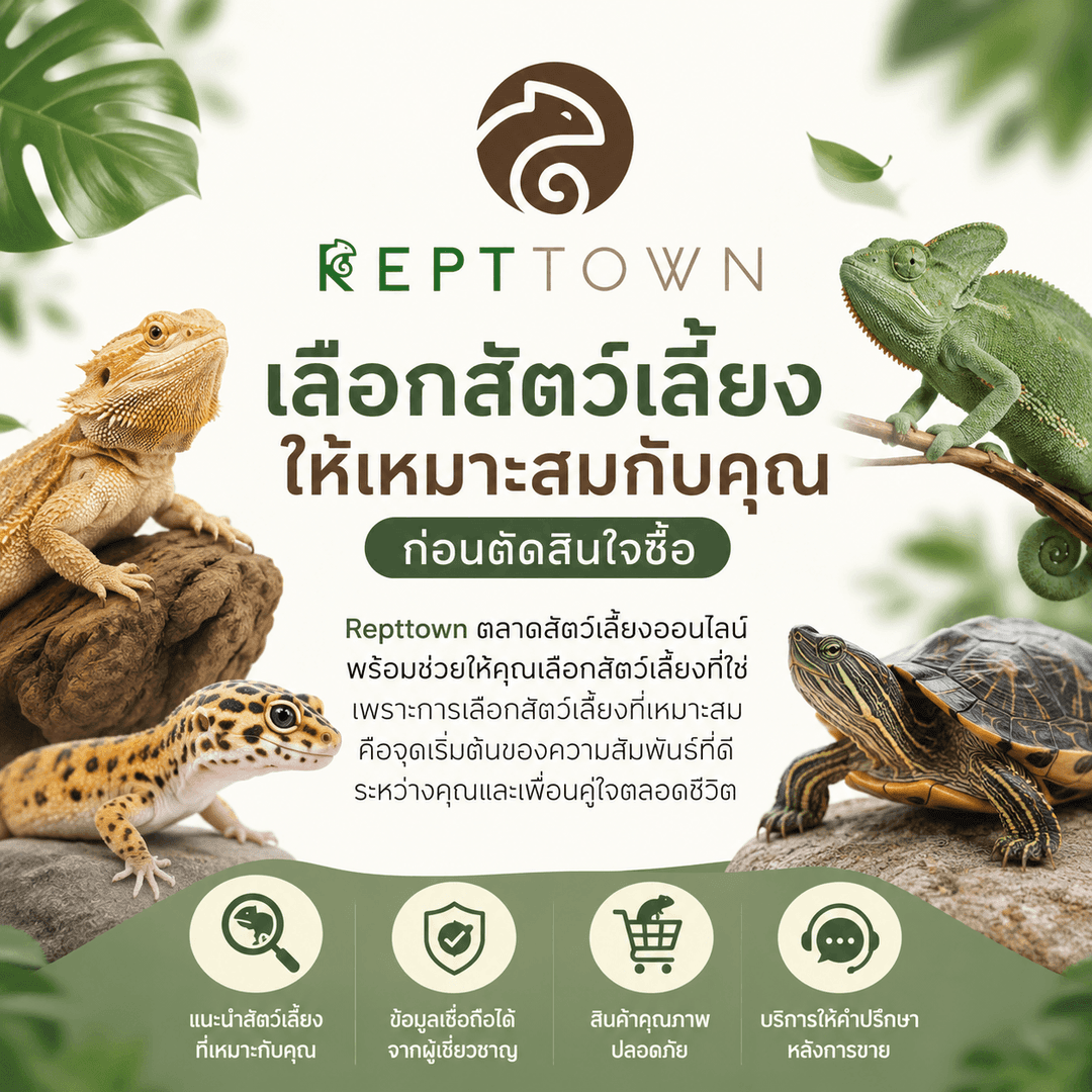 เลือกสัตว์เลี้ยงอย่างไร ให้เหมาะสมกับคุณ ก่อนตัดสินใจซื้อ